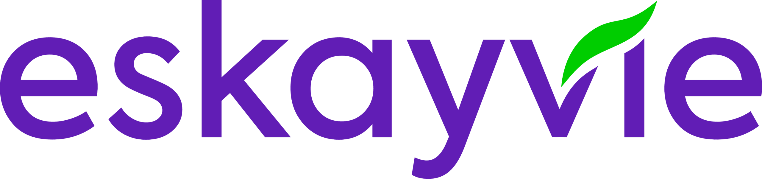 ESKAYVIE SDN. BHD.